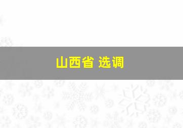 山西省 选调